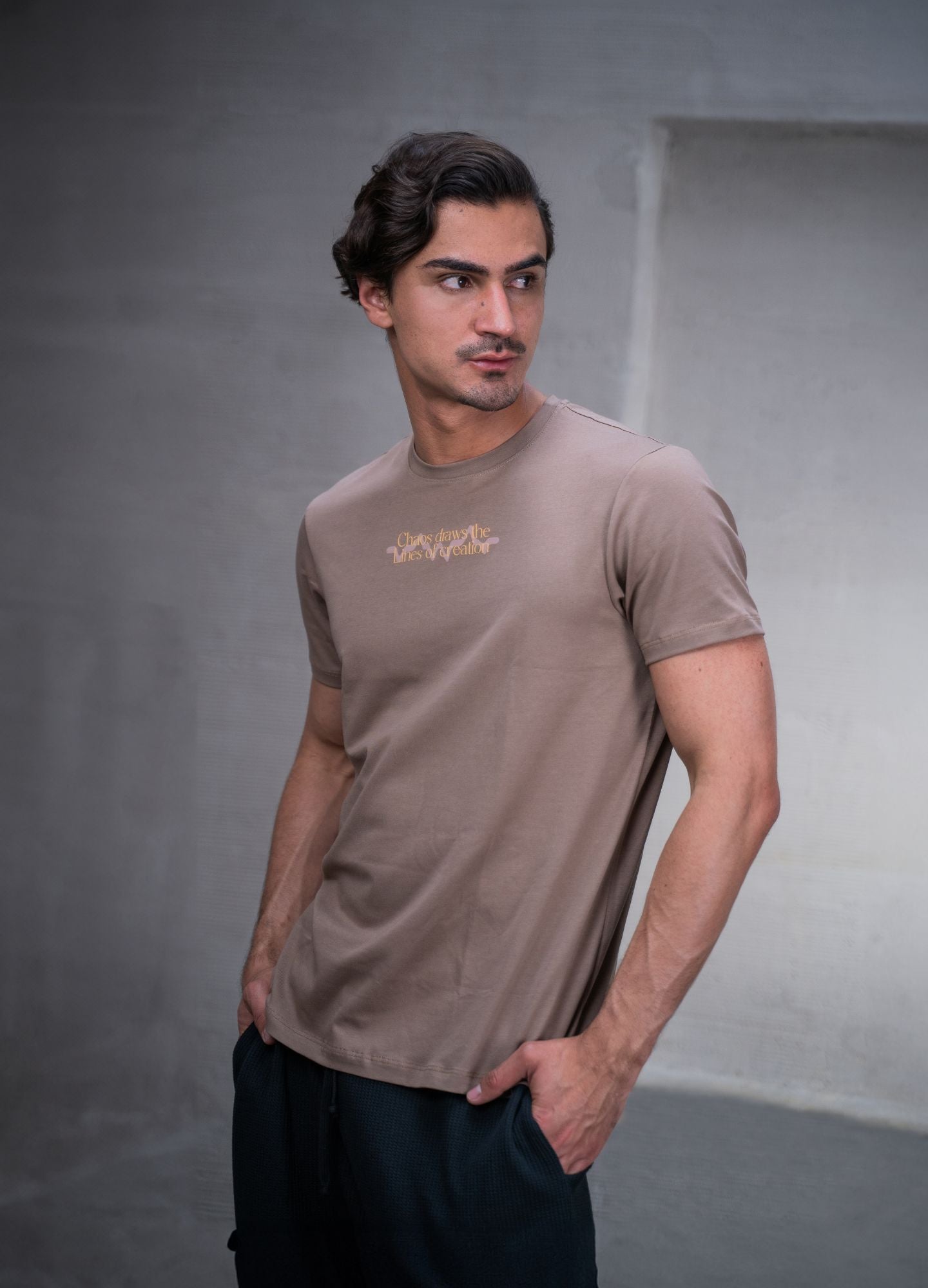 Camiseta Lines – Taupe