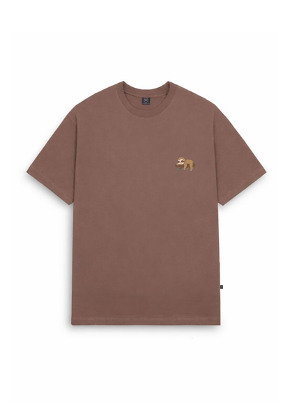 Ciampino Regular - Cafe