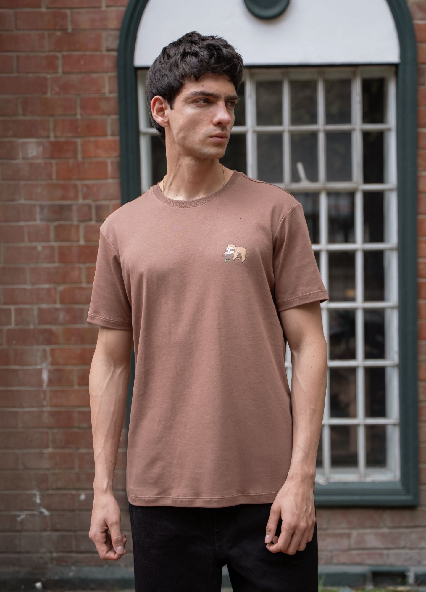 Ciampino Regular - Cafe