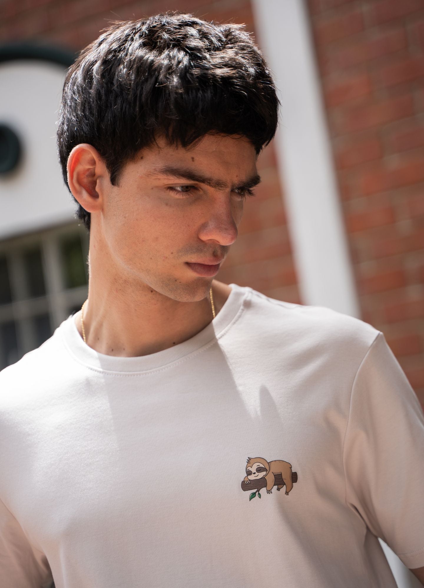 Ciampino Regular - Perla