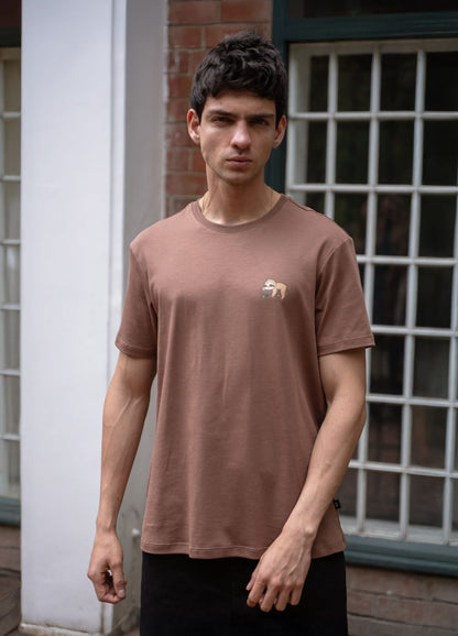 Ciampino Regular - Cafe