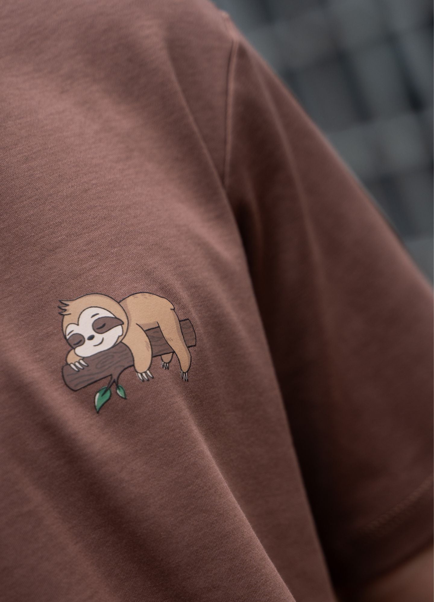 Ciampino Regular - Cafe