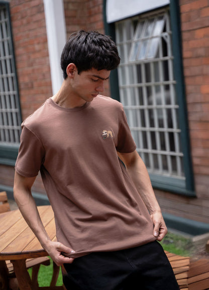 Ciampino Regular - Cafe